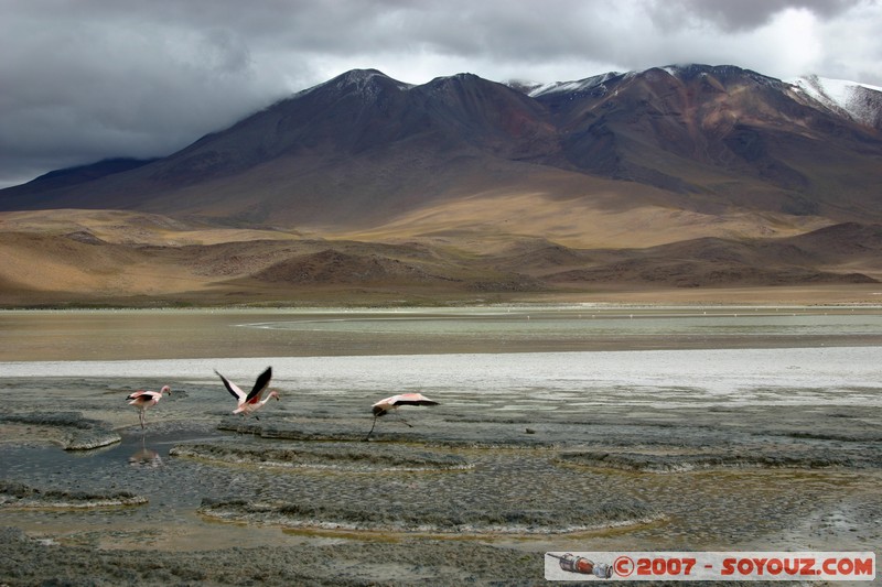 Laguna Hedionda
