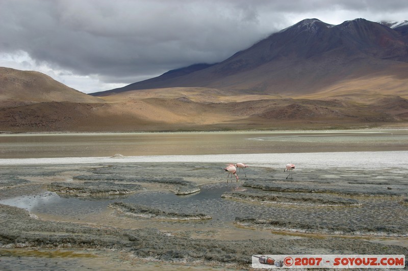 Laguna Hedionda
