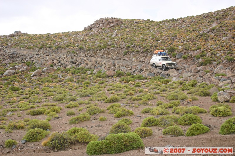 zone du volcan Ollague
