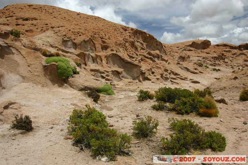 zone du volcan Ollague
