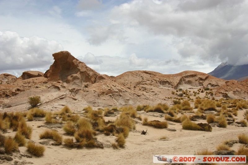 zone du volcan Ollague
