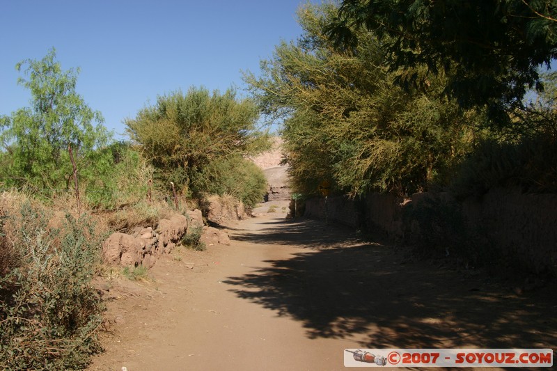 San Pedro de Atacama - Calle Caracoles
