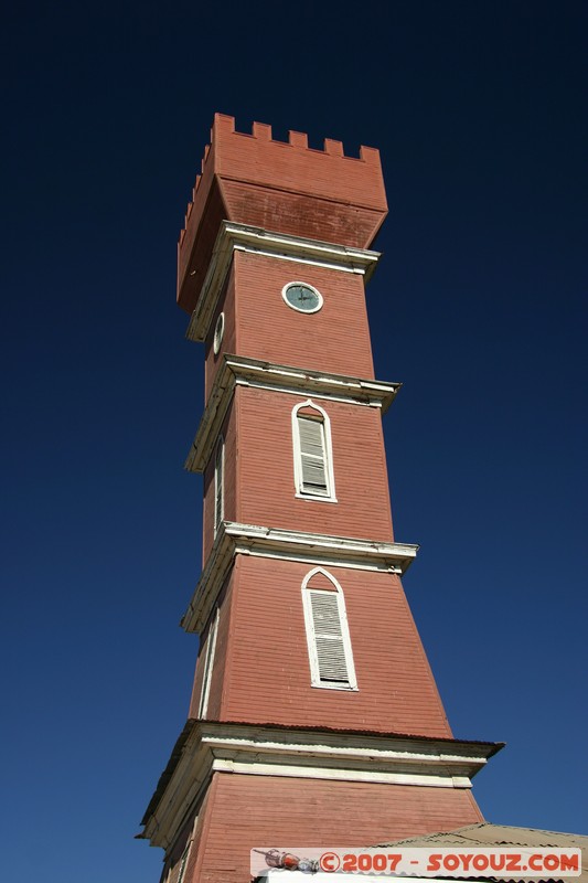 Vicuna - Torre Bauer
