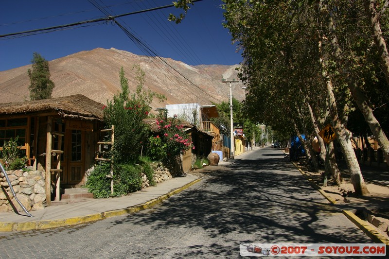 Pisco Elqui
