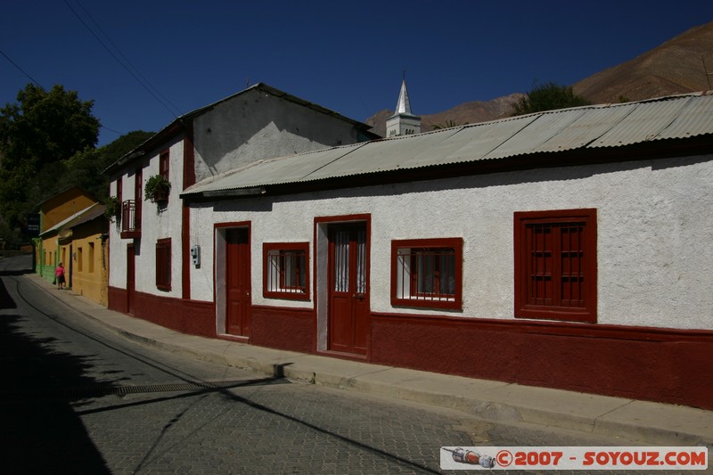 Pisco Elqui
