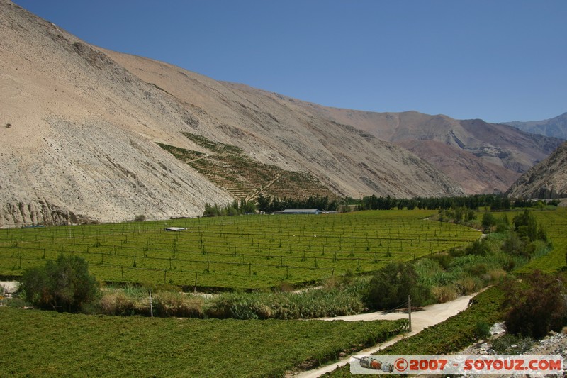 Valle del Elqui
