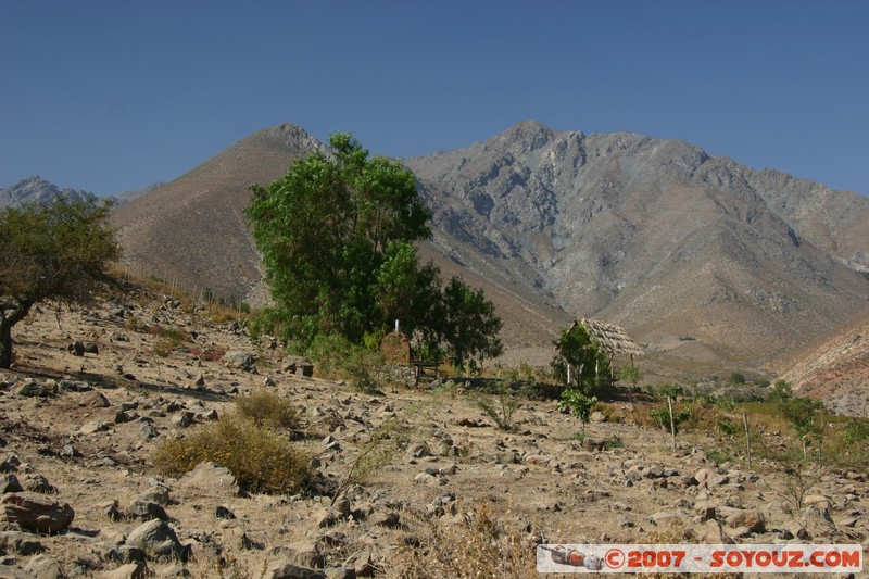 Vue sur Valle del Elqui
