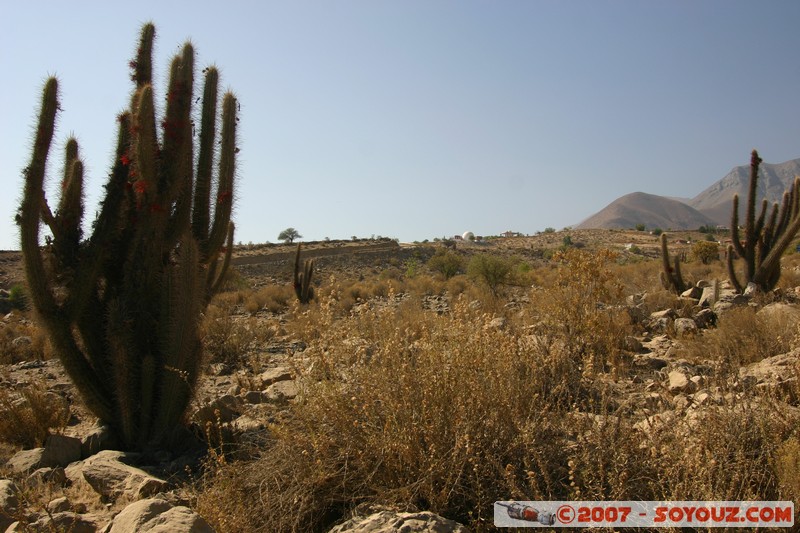 Valle del Elqui
