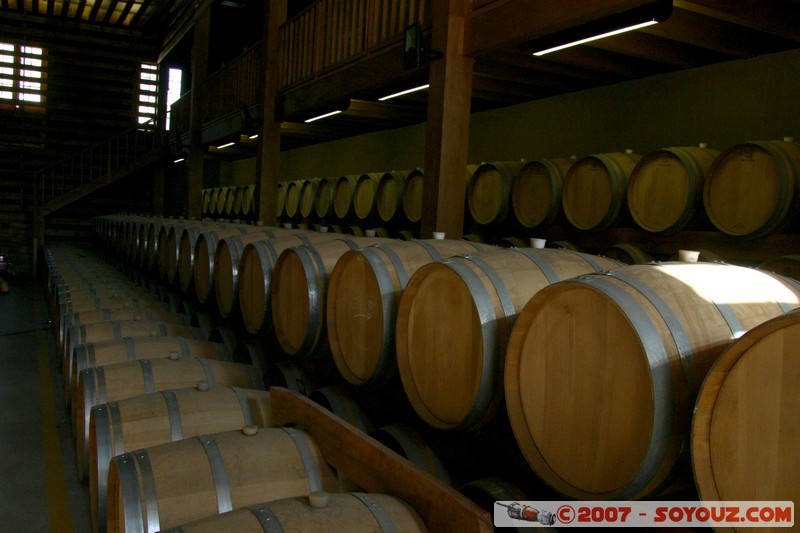 Bodega Ruta Norte
