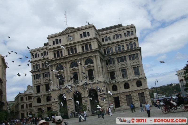 La Habana Vieja - Plaza San Fransisco de Asis - Palomas
Mots-clés: Ciudad de La Habana CUB Cuba geo:lat=23.13737066 geo:lon=-82.34858036 geotagged La Habana Vieja Plaza San Fransisco de AsÃ­s animals oiseau pigeon