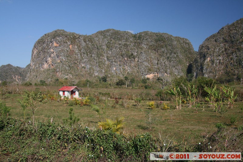 Valle de Vinales - Mugote del Valle
Mots-clés: CUB Cuba geo:lat=22.61081255 geo:lon=-83.72751665 geotagged Las Delicias Pinar del RÃ­o patrimoine unesco