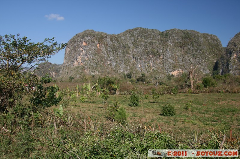 Valle de Vinales - Mugote del Valle
Mots-clés: CUB Cuba geo:lat=22.61081375 geo:lon=-83.72751464 geotagged Las Delicias Pinar del RÃ­o patrimoine unesco