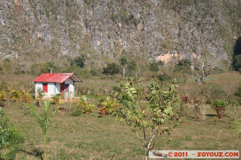 Valle de Vinales - Mugote del Valle
Mots-clés: CUB Cuba geo:lat=22.61081481 geo:lon=-83.72751507 geotagged Las Delicias Pinar del RÃ­o patrimoine unesco