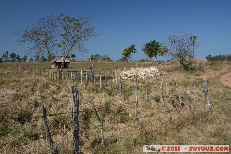 Valle de Vinales - Santa Lucia
Mots-clés: CUB Cuba geo:lat=22.65455405 geo:lon=-83.99303503 geotagged Pinar del RÃ­o Sitio Abajo