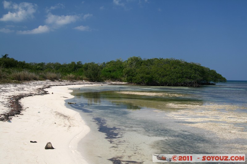 Cayo Jutias
Mots-clés: CUB Cuba geo:lat=22.71396856 geo:lon=-84.02454941 geotagged Sitio Abajo mer plage