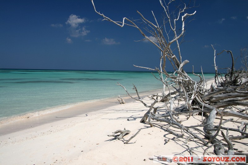 Cayo Jutias
Mots-clés: CUB Cuba geo:lat=22.69973824 geo:lon=-84.05294764 geotagged Sitio Abajo mer plage