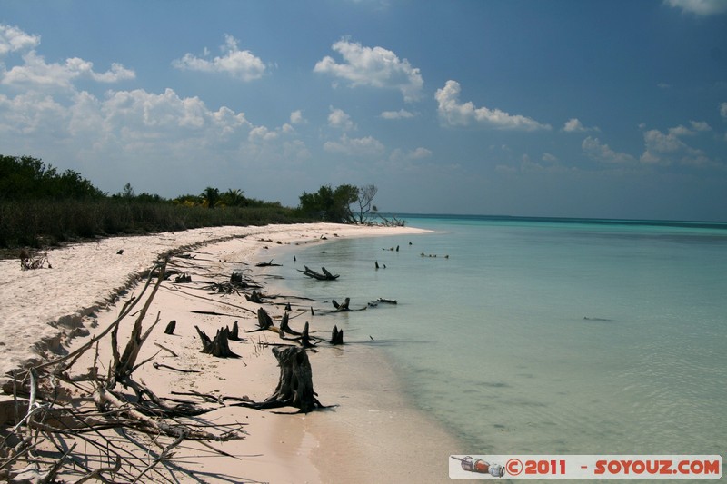 Cayo Jutias
Mots-clés: CUB Cuba geo:lat=22.69637350 geo:lon=-84.05488459 geotagged Sitio Abajo mer plage