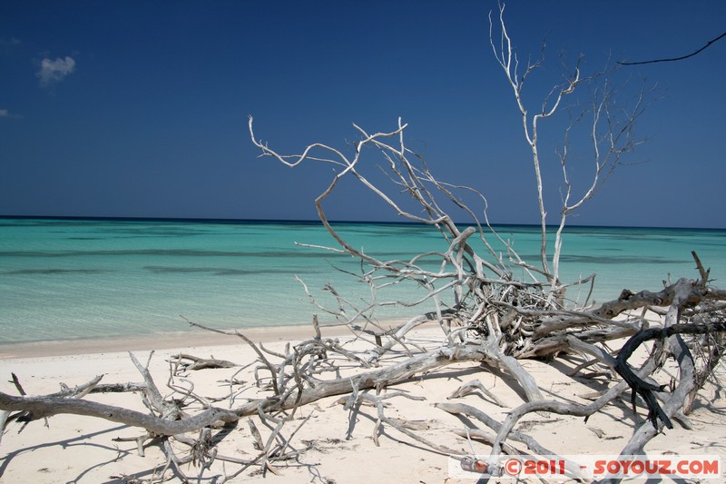 Cayo Jutias
Mots-clés: CUB Cuba geo:lat=22.69963618 geo:lon=-84.05287461 geotagged Sitio Abajo mer plage