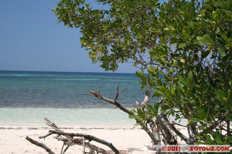 Cayo Jutias
Mots-clés: CUB Cuba geo:lat=22.70472136 geo:lon=-84.04767458 geotagged Sitio Abajo mer plage