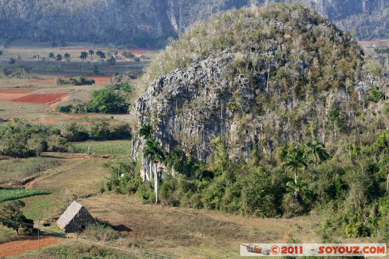 Valle de Vinales - Mirador de los Jazmines
Mots-clés: CUB Cuba geo:lat=22.59631631 geo:lon=-83.72365236 geotagged La Feita patrimoine unesco