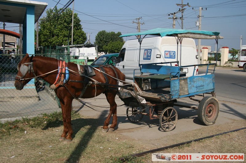 Cienfuegos - Reparto Reina - Caballo y el carro
Mots-clés: Cienfuegos CUB Cuba geo:lat=22.14330161 geo:lon=-80.45774770 geotagged Punta Gorda animals cheval