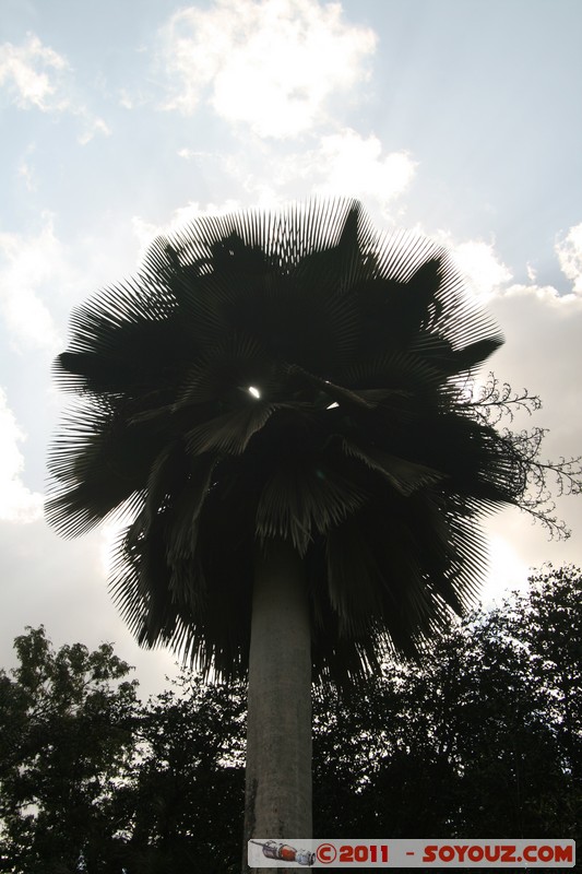 Cienfuegos - Jardin Botanico Soledad
Mots-clés: Cienfuegos CUB Cuba Dolores geo:lat=22.12560186 geo:lon=-80.32465949 geotagged Parc Jardin botanique Arbres plante