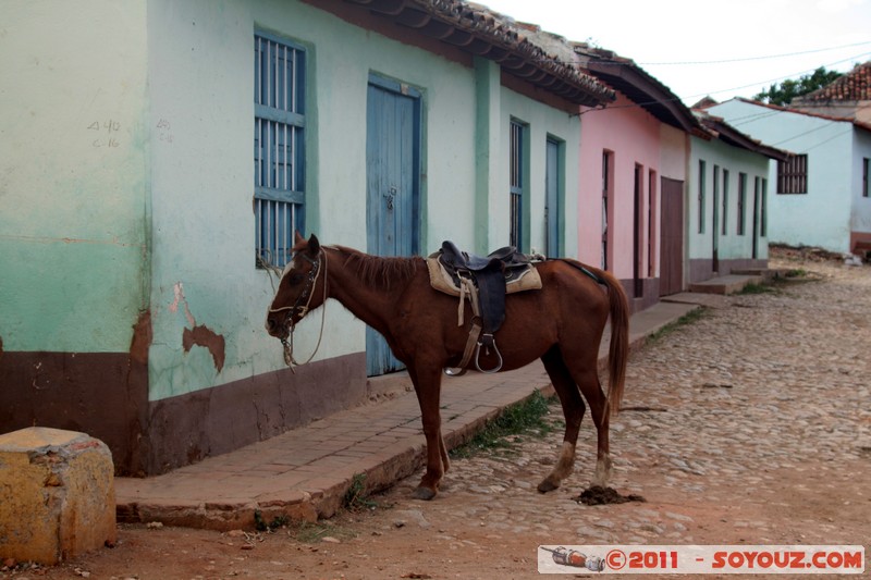 Trinidad - Calle Amargura
Mots-clés: CUB Cuba geo:lat=21.80312586 geo:lon=-79.97945804 geotagged Trinidad Sancti SpÃ­ritus patrimoine unesco Colonial Espagnol animals cheval