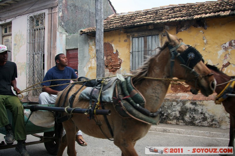 Trinidad - Calle Chinchiquira Coco
Mots-clés: CUB Cuba geo:lat=21.80156880 geo:lon=-79.98615766 geotagged Trinidad Sancti SpÃ­ritus patrimoine unesco cheval animals personnes