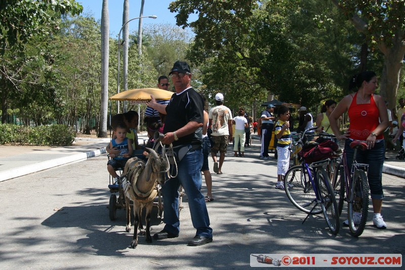 Camaguey - Casino Campestre
Mots-clés: CUB Cuba geo:lat=21.37658765 geo:lon=-77.91293028 geotagged Marche personnes