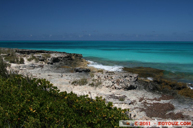 Cayo Santa Maria
Mots-clés: Cayo Santa Maria CUB Cuba geo:lat=22.66608575 geo:lon=-78.98609866 geotagged plage mer