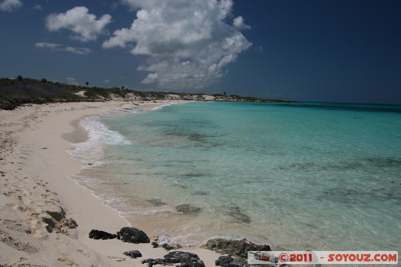 Cayo Santa Maria
Mots-clés: Cayo Santa Maria CUB Cuba geo:lat=22.66635384 geo:lon=-78.98152906 geotagged plage mer