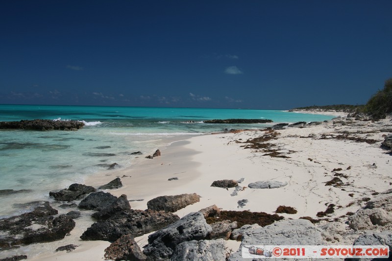 Cayo Santa Maria
Mots-clés: Cayo Santa Maria CUB Cuba geo:lat=22.66607564 geo:lon=-78.97981865 geotagged plage mer