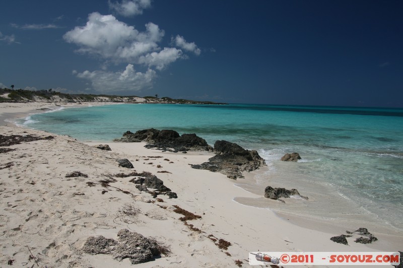 Cayo Santa Maria
Mots-clés: Cayo Santa Maria CUB Cuba geo:lat=22.66634238 geo:lon=-78.98153445 geotagged plage mer