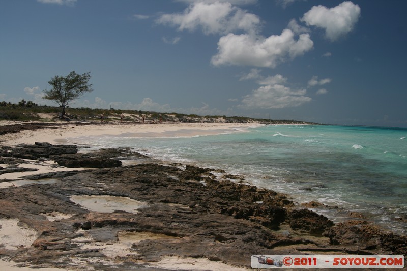 Cayo Santa Maria
Mots-clés: Cayo Santa Maria CUB Cuba geo:lat=22.66559873 geo:lon=-78.98757292 geotagged plage mer