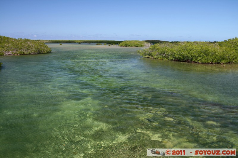 Cayo Santa Maria
Mots-clés: CUB Cuba geo:lat=22.62412580 geo:lon=-79.12898765 geotagged Salina mer