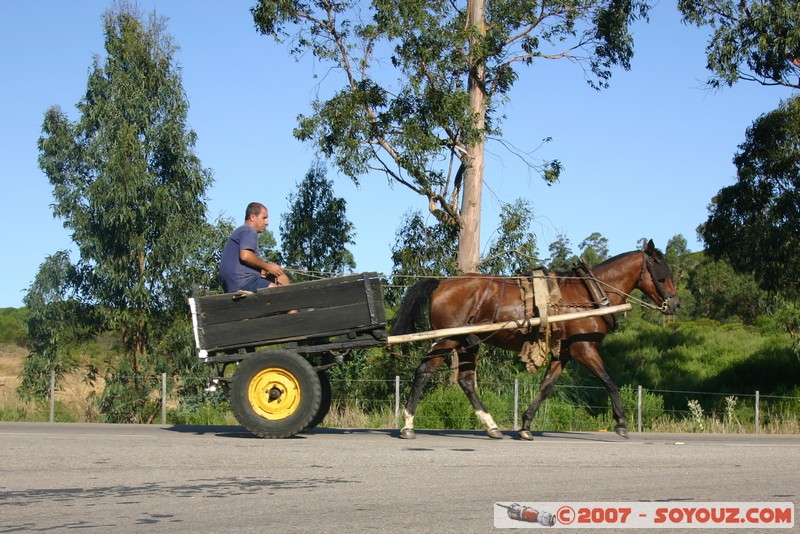 Voiture à cheval
