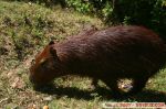 IMG_6293.jpg