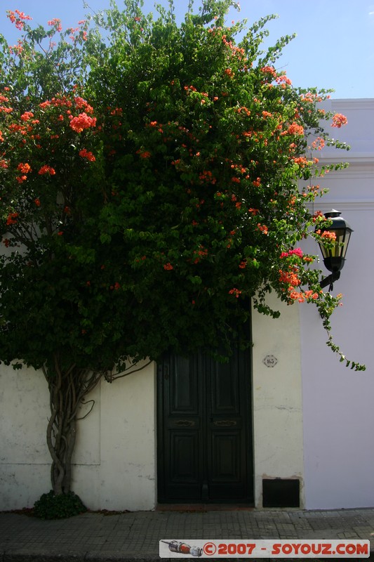 Colonia del Sacramento - Ciudad Vieja 
Mots-clés: patrimoine unesco