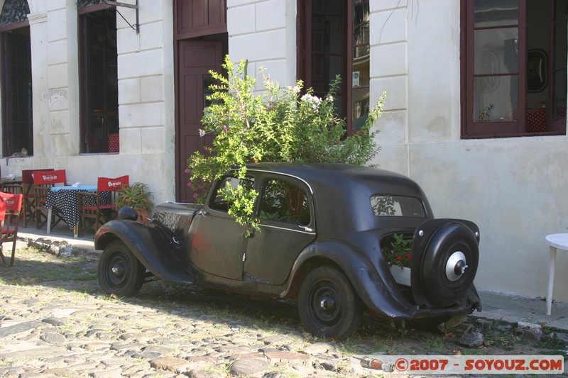 Colonia del Sacramento - Ciudad Vieja
Mots-clés: patrimoine unesco