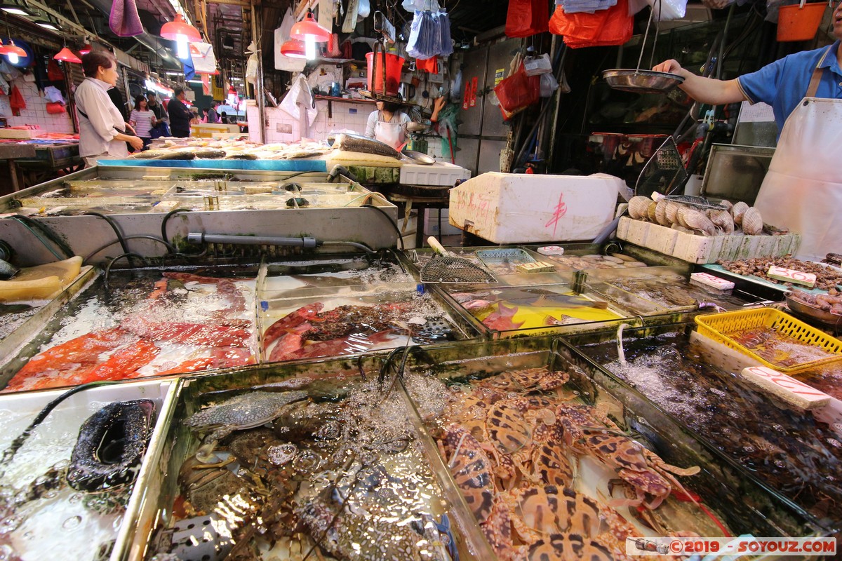 Hong Kong - Kowloon - Fa Yuen Street Market
Mots-clés: geo:lat=22.32089468 geo:lon=114.17049537 geotagged HKG Hong Kong Mong Kok Yau Tsim Mong Kowloon Fa Yuen Street Market Marche