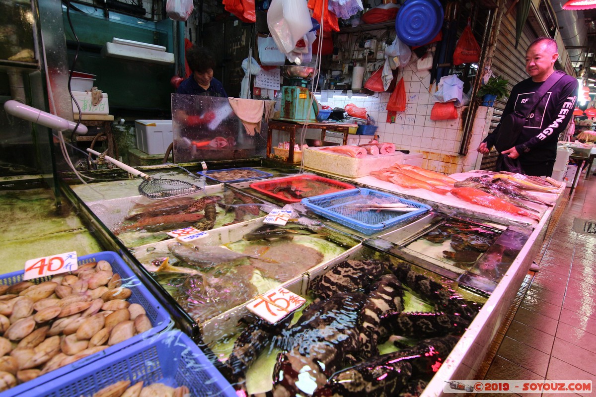 Hong Kong - Kowloon - Fa Yuen Street Market
Mots-clés: geo:lat=22.32089468 geo:lon=114.17049537 geotagged HKG Hong Kong Mong Kok Yau Tsim Mong Kowloon Fa Yuen Street Market Marche