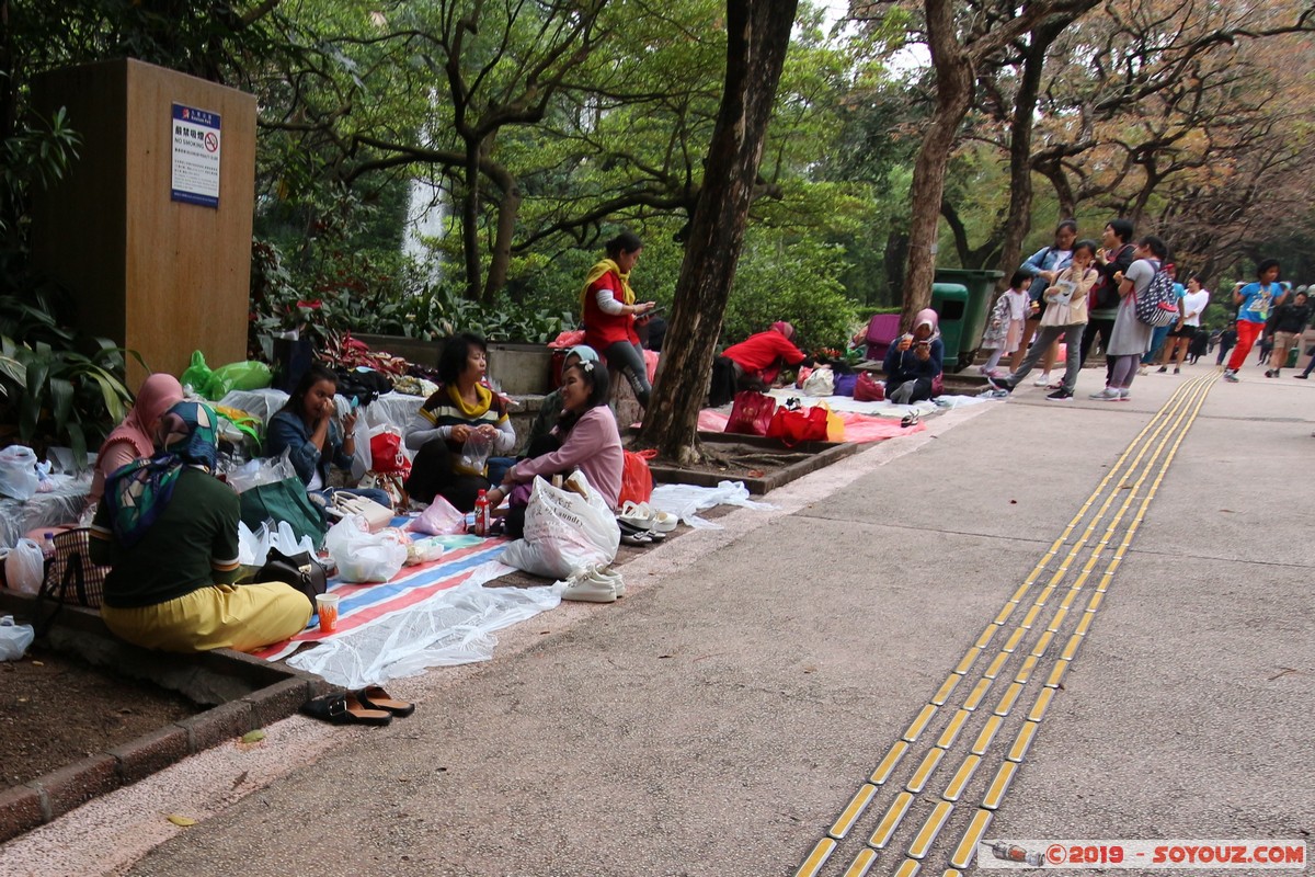 Hong Kong - Kowloon Park
Mots-clés: geo:lat=22.29859067 geo:lon=114.17095267 geotagged HKG Hong Kong Tsim Sha Tsui Yau Tsim Mong Kowloon Kowloon Park Parc personnes