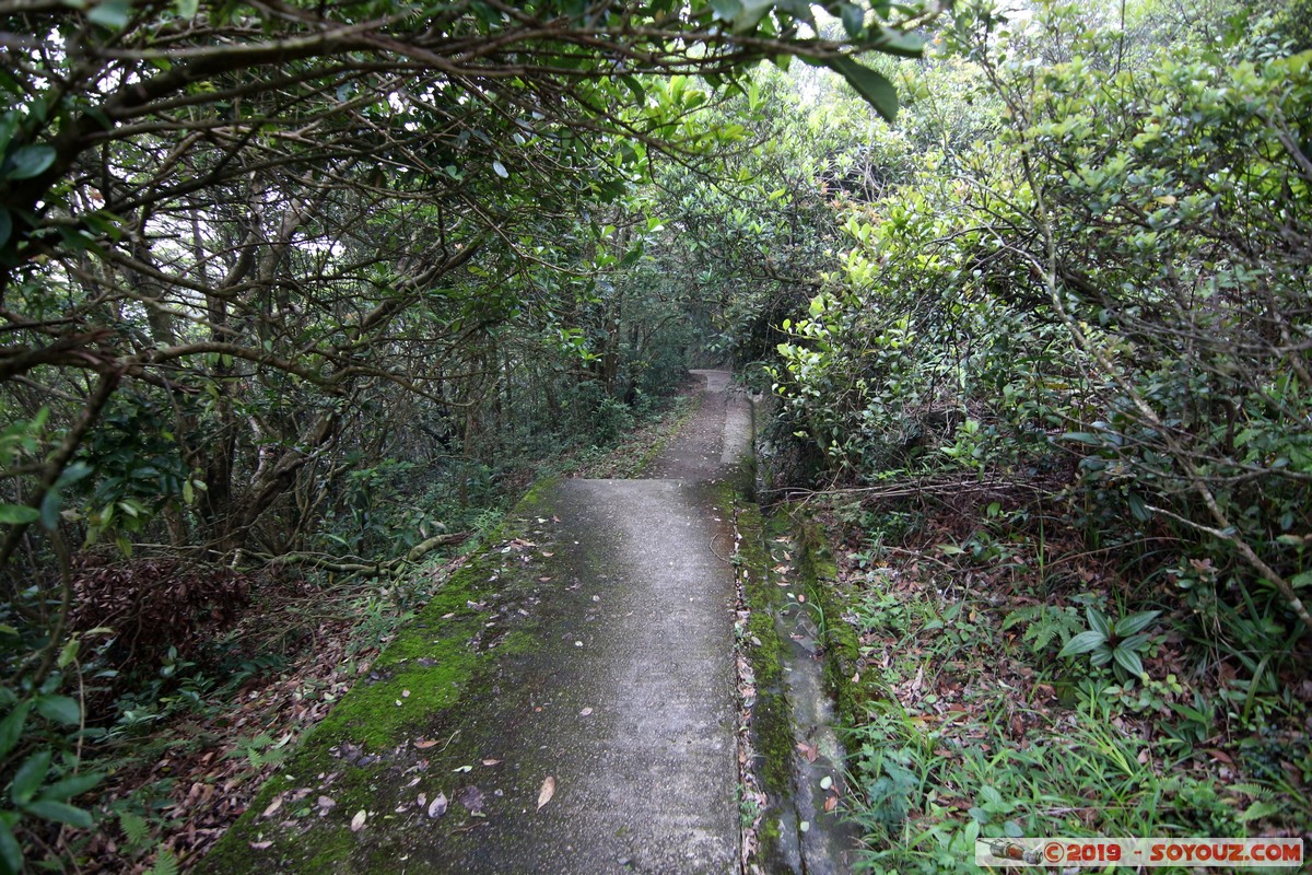 Hong Kong - Victoria Peak
Mots-clés: Central and Western geo:lat=22.27517861 geo:lon=114.14572917 geotagged HKG Hong Kong Sheung Wan