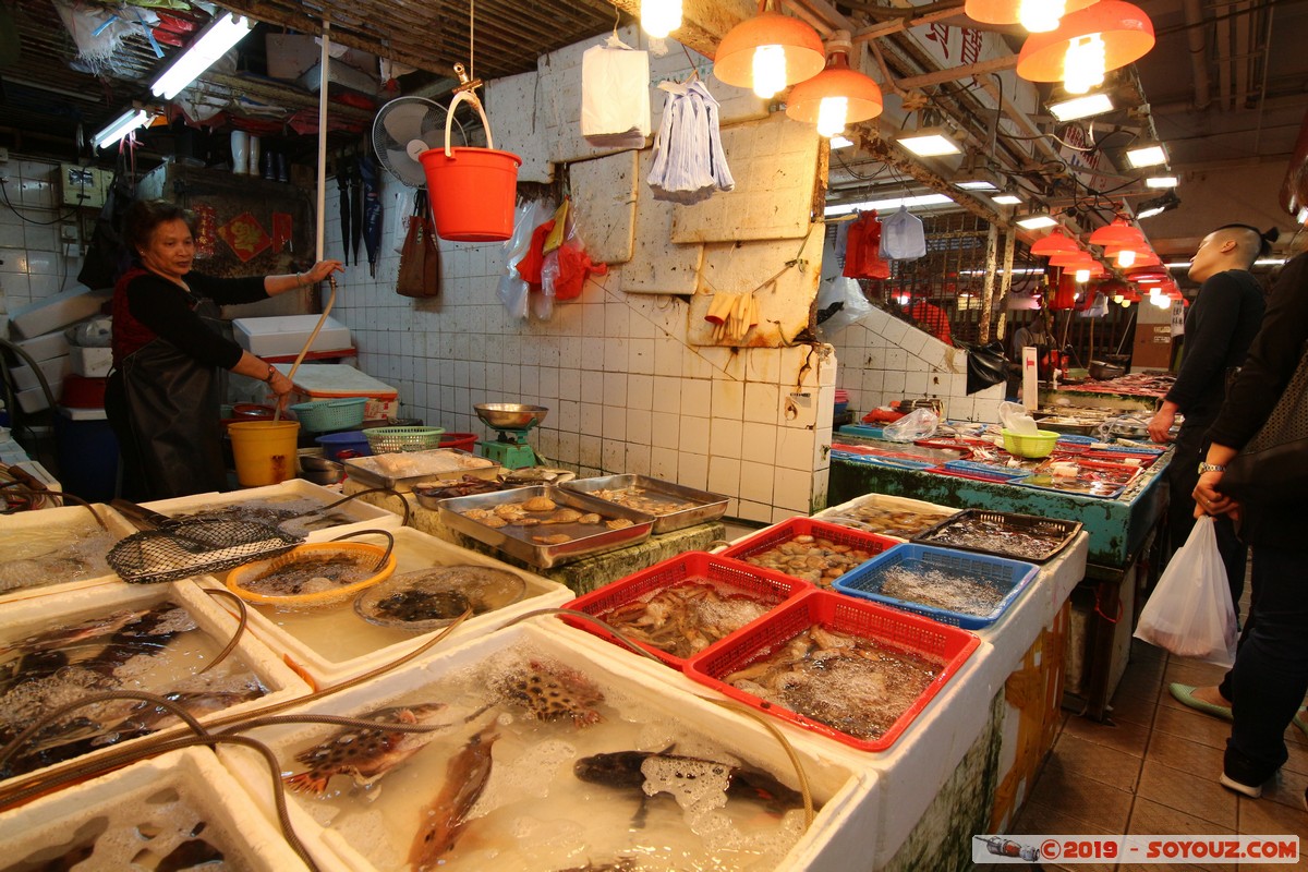 Hong Kong - Aberdeen Market
Mots-clés: Aberdeen geo:lat=22.24919041 geo:lon=114.15461972 geotagged HKG Hong Kong Southern Aberdeen Market Marche