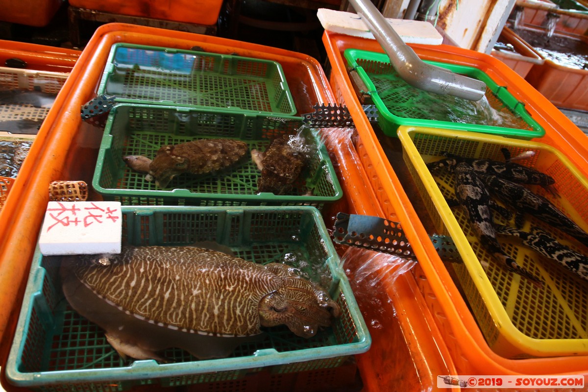 Wanli - Guihou Fish Market
Mots-clés: geo:lat=25.19464950 geo:lon=121.68748676 geotagged Taipeh Taiwan TWN Yu’ao New Taipei Wanli District Guihou Marche