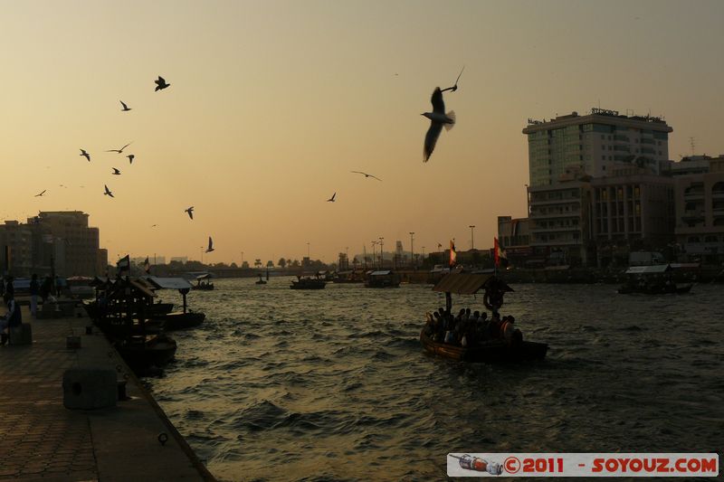 Bur Dubai Waterfront - The Creek
Mots-clés: Bur Dubai mirats Arabes Unis geo:lat=25.26532145 geo:lon=55.29733064 UAE United Arab Emirates mer animals oiseau sunset