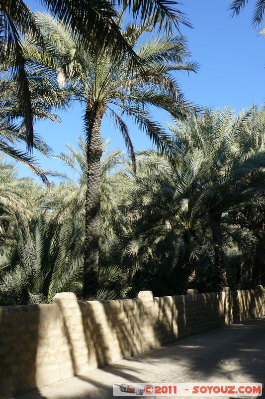 Al Ain Oasis
Mots-clés: geo:lat=24.21715772 geo:lon=55.76783582 mirats Arabes Unis UAE United Arab Emirates Parc Palmier Arbres Al-Ain Oasis