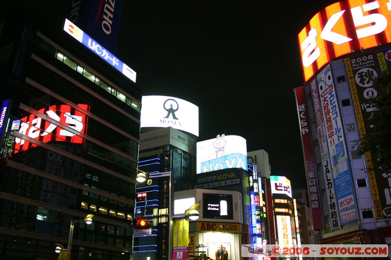 Lights of Shinjuku
