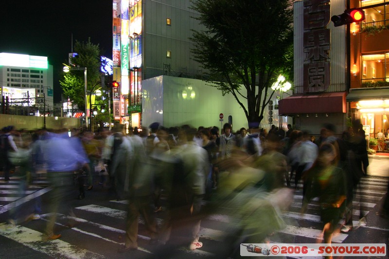 Lights of Shinjuku
