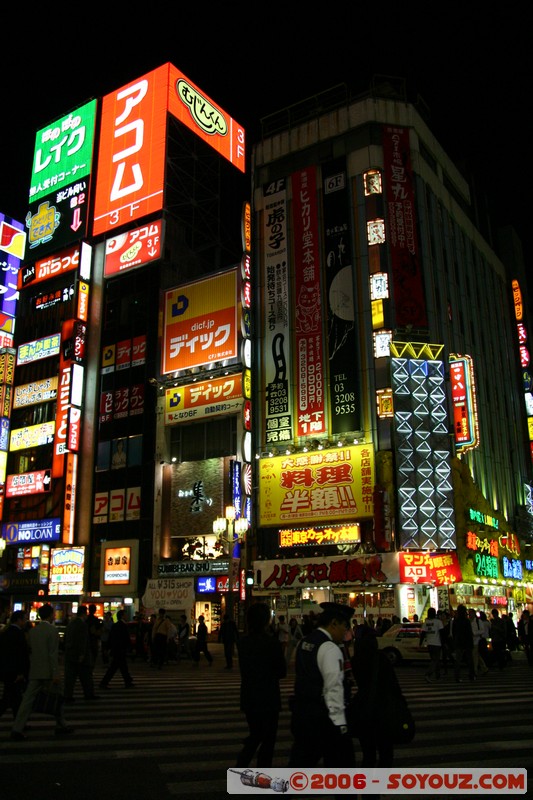 Lights of Shinjuku
